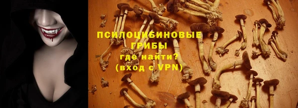 МДПВ Алзамай