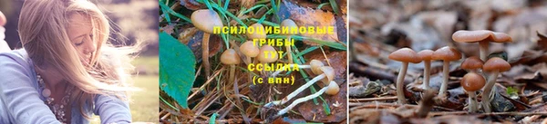 МДПВ Алзамай